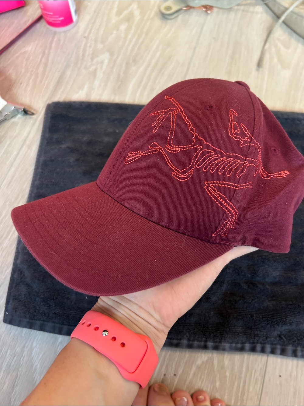 vintsge arc'teryx hat